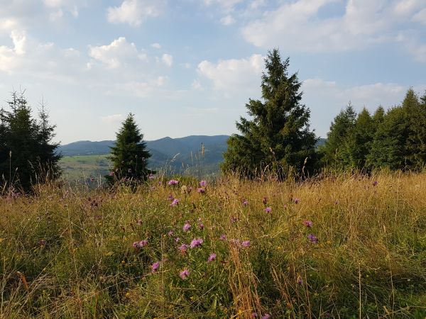 Szczawnica i okolice