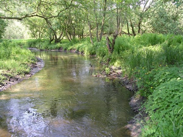 Dolina Płoni - Park Kulturowo-Krajobrazowy Źródliskowa Dolina Płoni