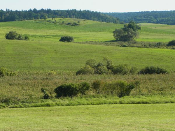 Dolina Płoni - Park Kulturowo-Krajobrazowy Źródliskowa Dolina Płoni