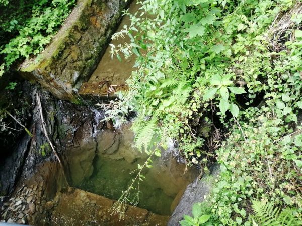 Potok Gościradowiec