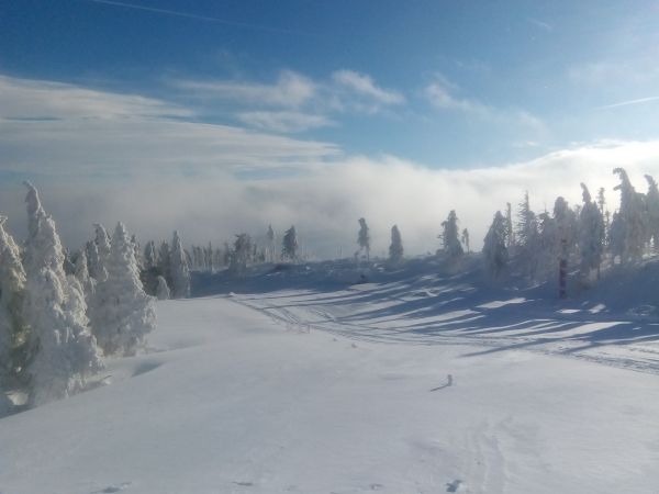 Góra Skrzyczne styczeń 2019