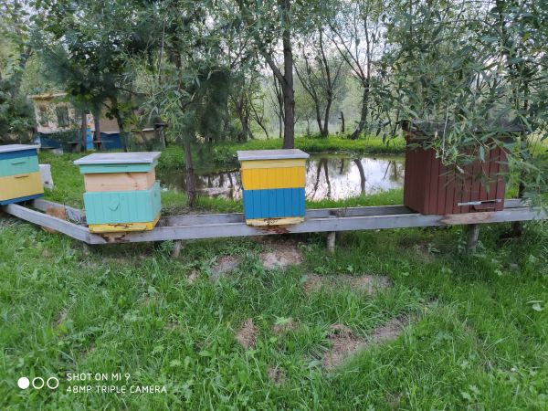 Domki - Zielone Wzgórze, Zawóz 73A