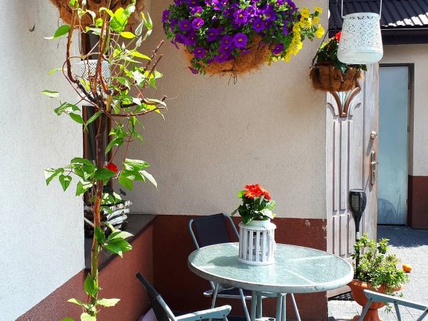 Wokół domku u Pani Lucynki