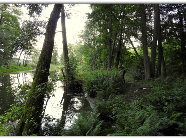 Sierpień na Mazurach