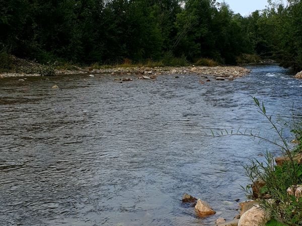 Domek pod żabią strugą