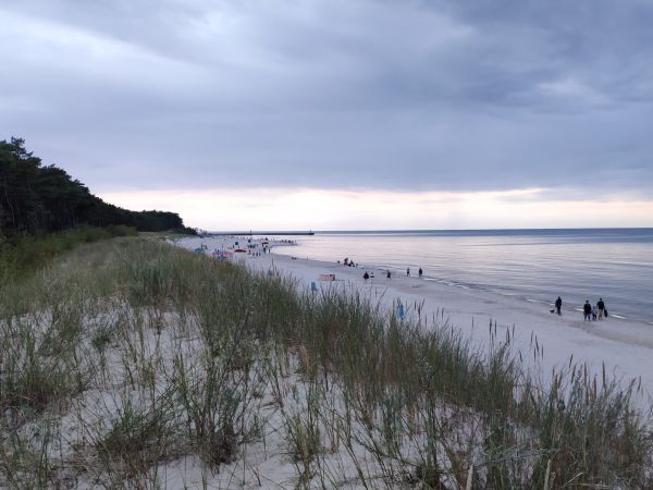 Plaża w Mrzeżyno