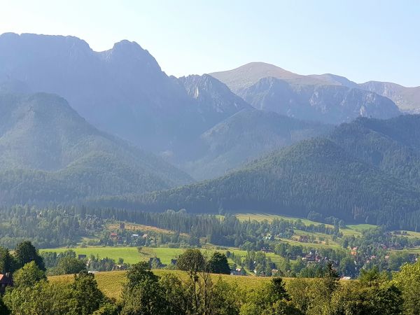 Domek pod żabią strugą