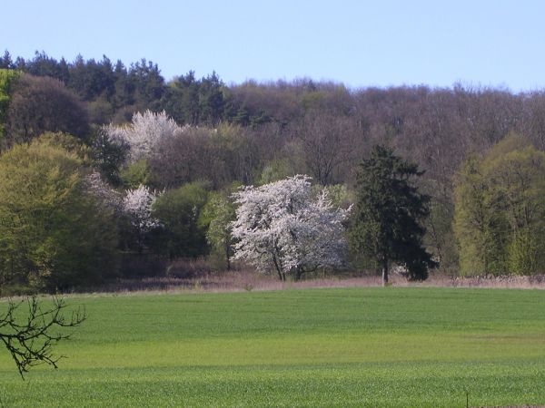 Dolina Płoni - Park Kulturowo-Krajobrazowy Źródliskowa Dolina Płoni