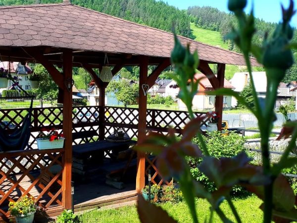 Wokół domku u Pani Lucynki