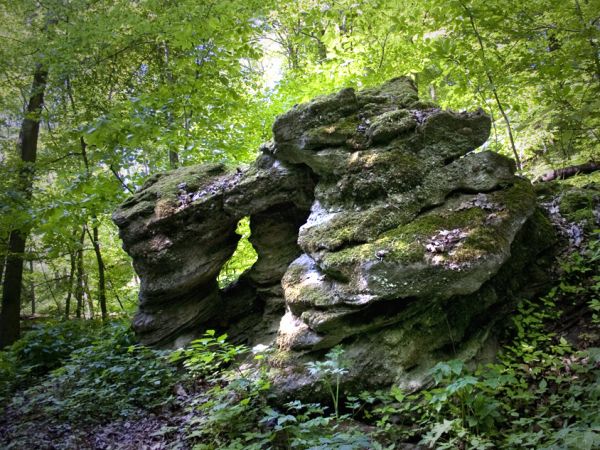 Dolina Płoni - Park Kulturowo-Krajobrazowy Źródliskowa Dolina Płoni
