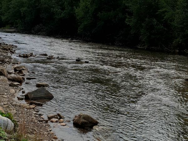 Domek pod żabią strugą