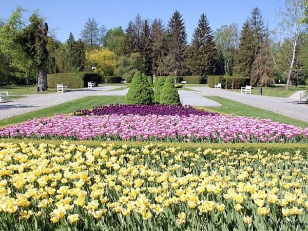 Park Miejski im. Stanisława Staszica w Pile.