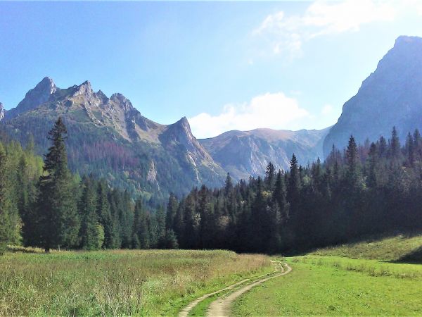 Dolina Małej Łąki.