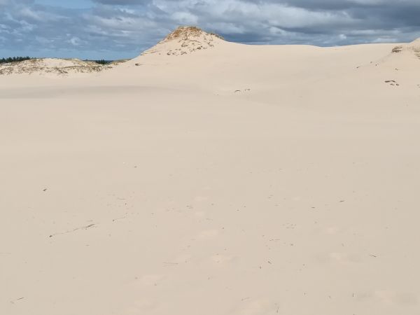 Urlop nad morzem w Łebie