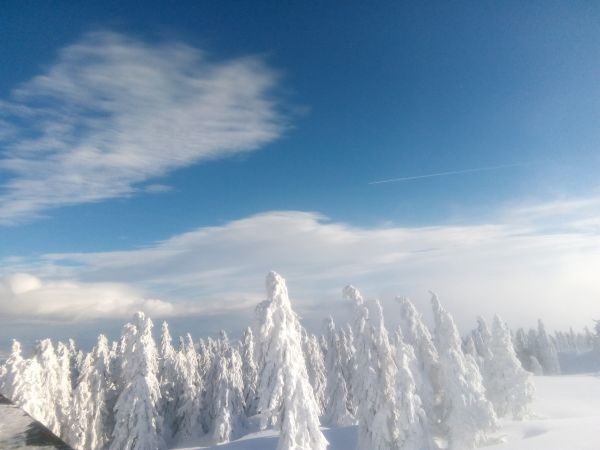 Góra Skrzyczne styczeń 2019