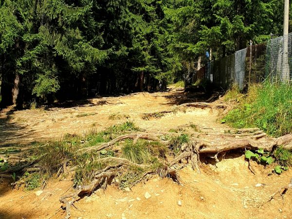 Domek pod żabią strugą