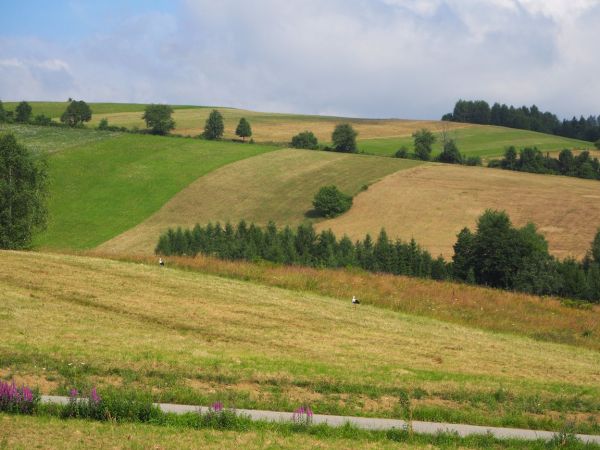 Domek Wichrowe Wzgórze