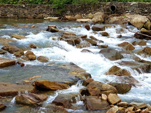 Domek pod żabią strugą