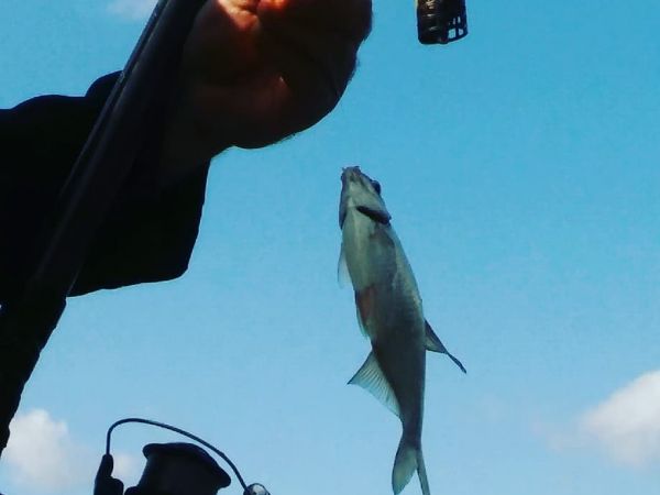 Jezioro Szeląg Kątno