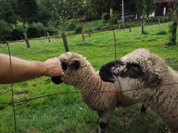 Penzion Pod kaštanem,  Hodkovice u Trutnova,  Adršpach, Czechy