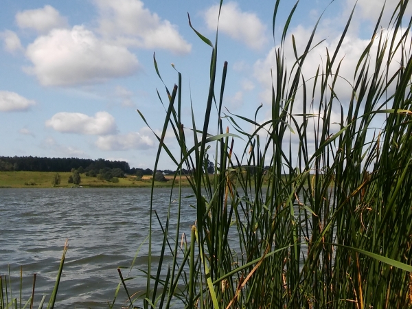 Jezioro Szeląg Kątno