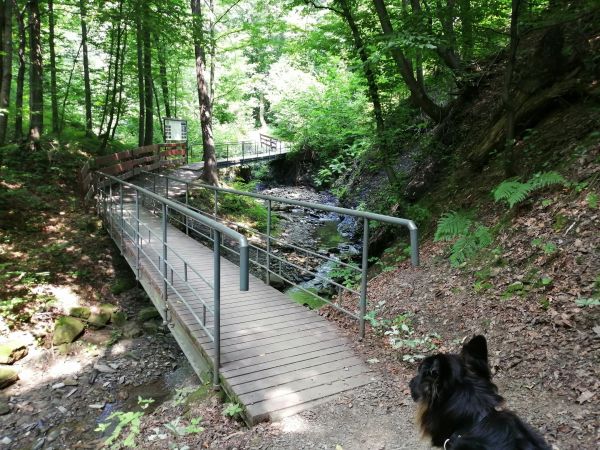 Potok Gościradowiec