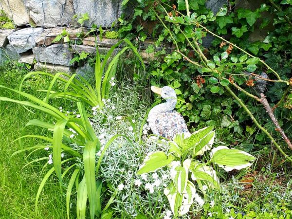 Wokół domku u Pani Lucynki