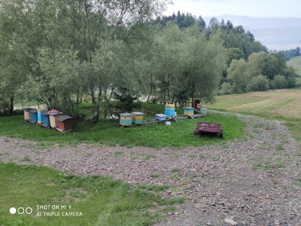 Domki - Zielone Wzgórze, Zawóz 73A