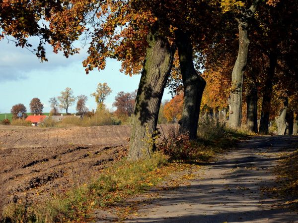 Droga do Litewek - październik 2015.