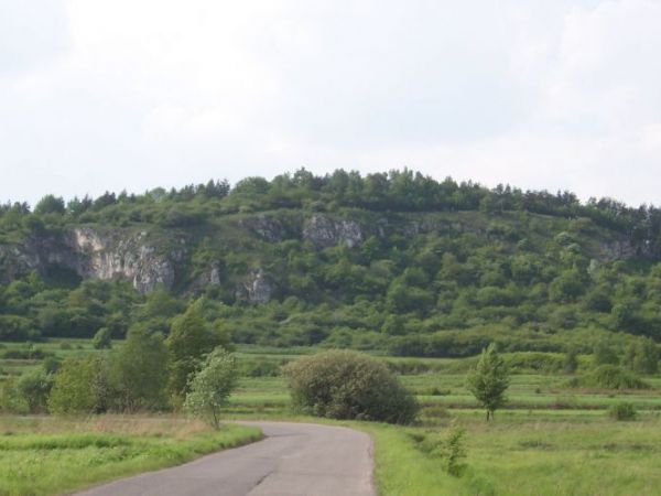 Widok na Rezerwat przyrody - Kajasówka