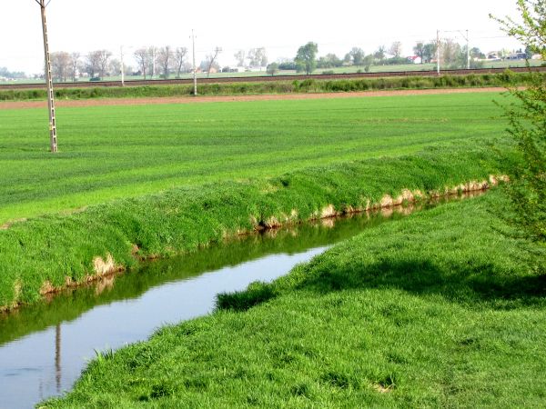 Most na rzece Słudwi