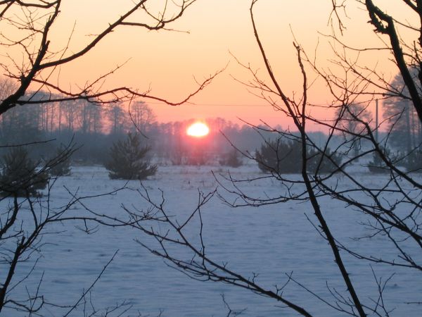 zdjecie Grądy Szlacheckie