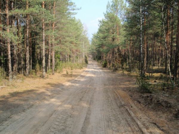 zdjecie Waliły-Stacja