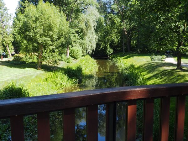 w każdym wizualnym przekazie o Dworku Chopina jest ten mostek - w łuk wygięty, toteż i u nas mostek jest !