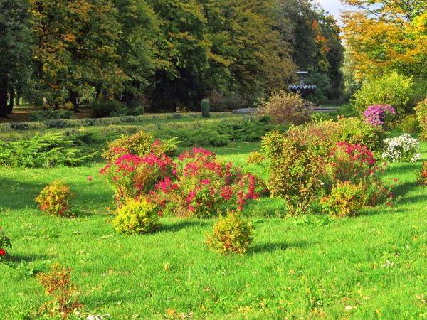 Sanktuarium Najświętszej Maryi Panny Jazłowieckiej w Szymanowie - park