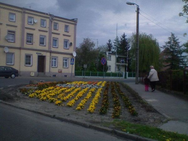 zdjecie Sulechów