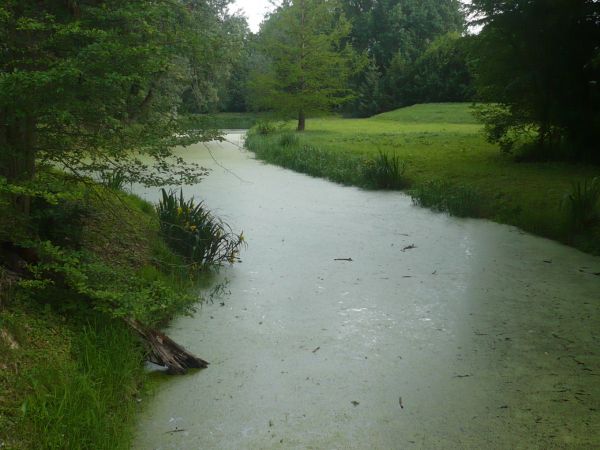 Urocza rzeczka w parku.
