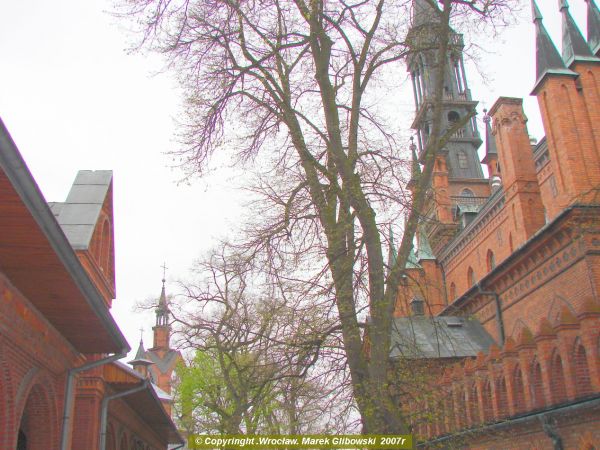 zdjecie Licheń Stary