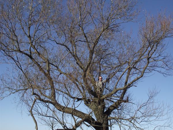 Pogórze Rymanowskie - w korytarzu Przełęczy Dukielskiej - to tędy m.in. od południa Karpat z nad niziny węgierskiej znajdują ujście ciepłe wiatry i na  północny