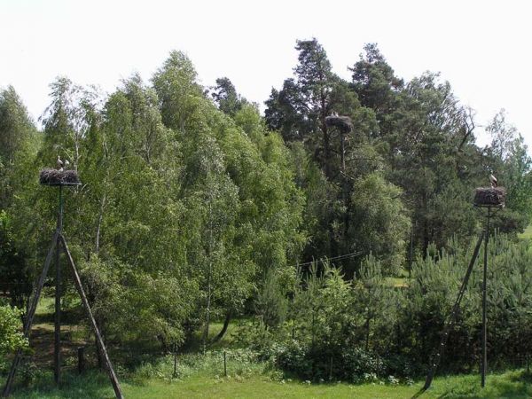 Pentowo