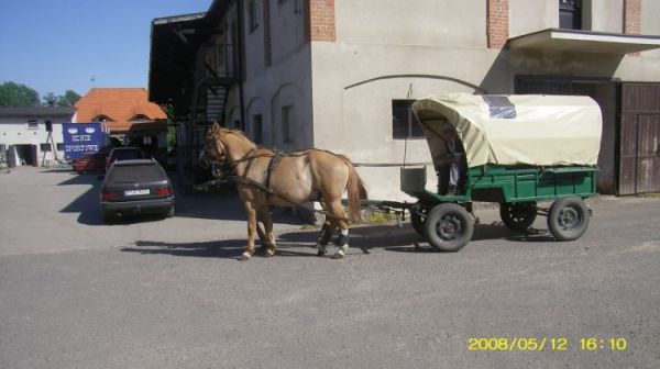 Jeziorki - podwórze
