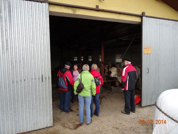 prawdę iż smaczne mleko uzyskamy tylko od zdrowych i zadbanych krów -  przyjęliśmy,  zagrodę z oborą hodowlaną - będziemy zwiedzać - dzięki uprzejmości  właścic