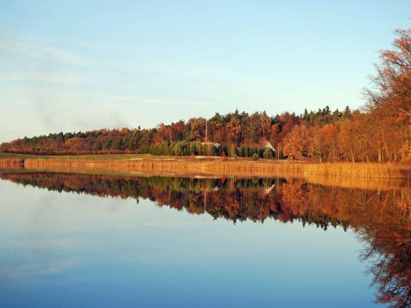 Tulice - jesienny widok na jezioro.