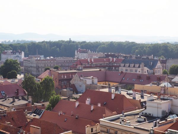zdjecie Świdnica