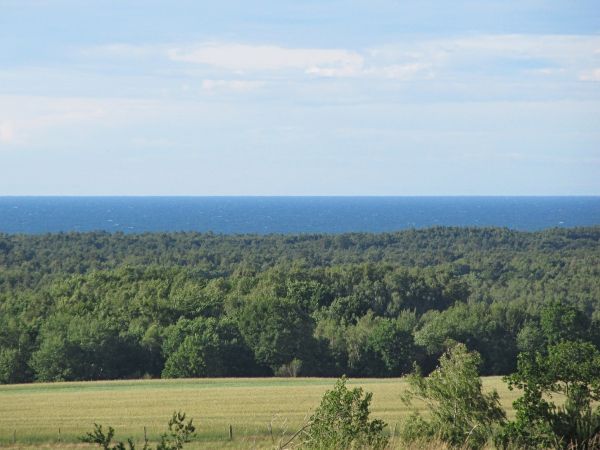 Widok na lasy i dalej morze