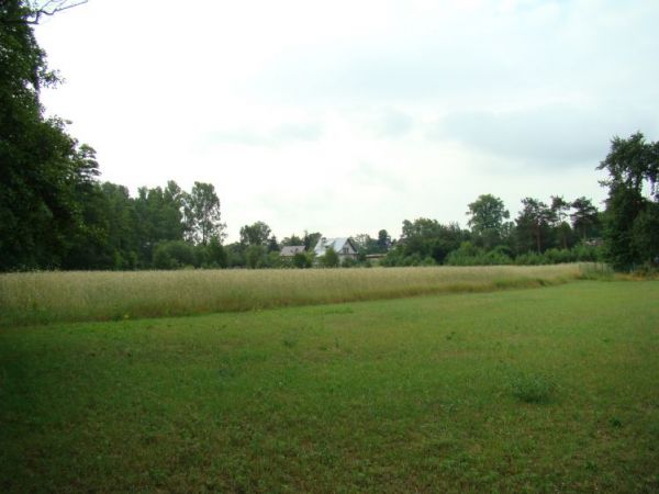 Wola Życka widziana z brzegu rzeki