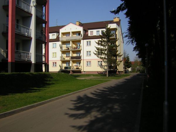 zdjecie Sulechów