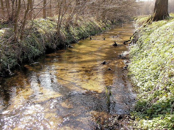 Rzeczka w Sowczycach