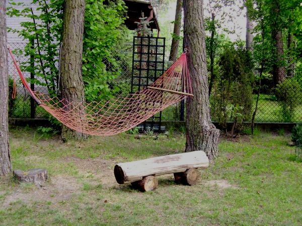 hamaczek na sośnie.