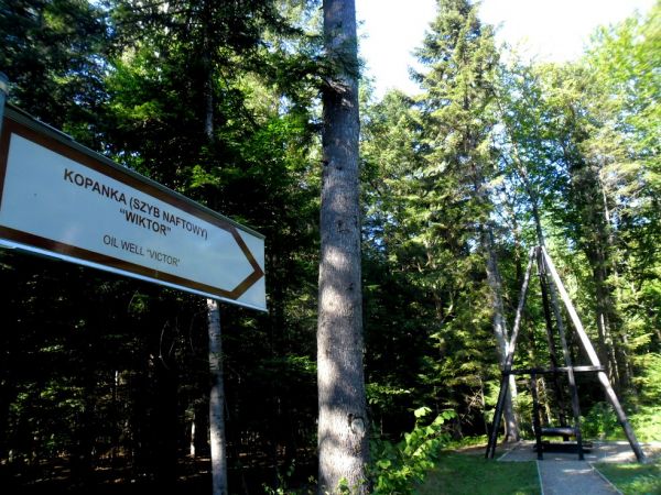 Jedna z najstarszych kopanek na terenie kopalni.